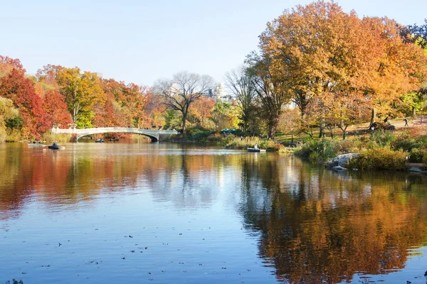 Jesienna odsłona Central park w Nowym Jorku, Usa — Zdjęcie stockowe