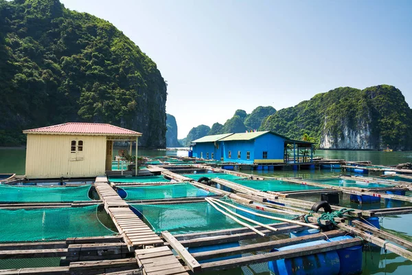 Fischerdorf und Fischteich in der Nähe der Katzeninsel, Vietnam — Stockfoto