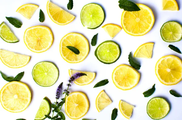 화이트에 민트 잎과 레몬과 라임 조각 — 스톡 사진