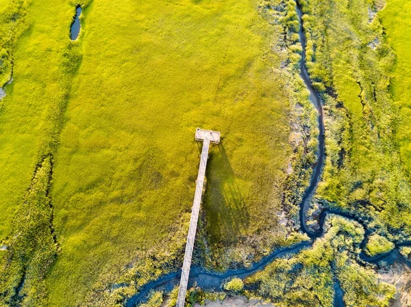 Puente de madera sobre un pantano desde arriba — Foto de Stock