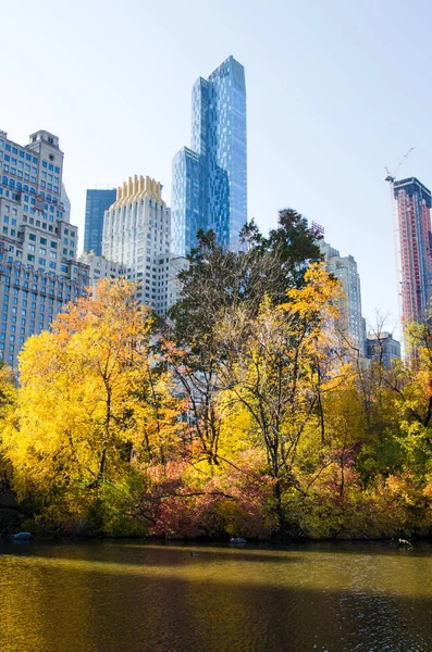 Осенние цвета Центрального парка Нью-Йорка — стоковое фото