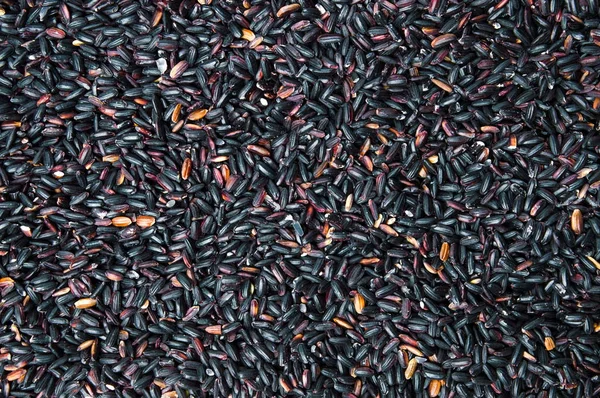Schwarzer Reis Hintergrund Muster Textur — Stockfoto