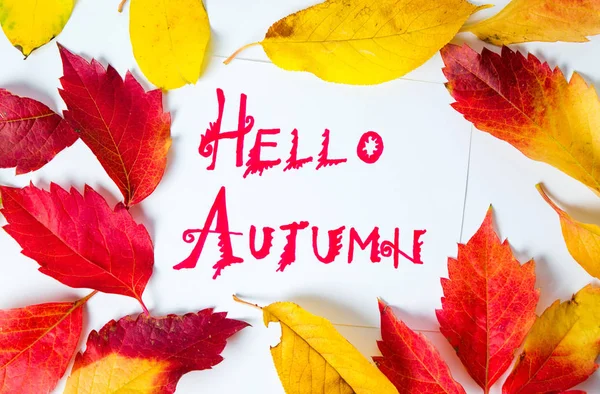 Hola nota de caligrafía de otoño con hojas caídas — Foto de Stock