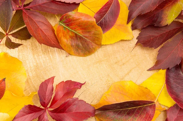 Bukott őszi levelek, a természetes fából készült napló — Stock Fotó