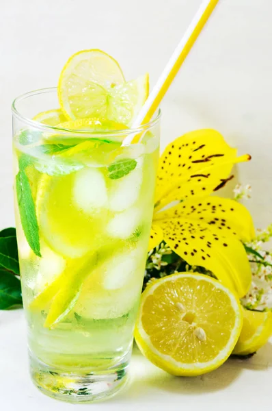 Lemonad med mynta blad och is — Stockfoto