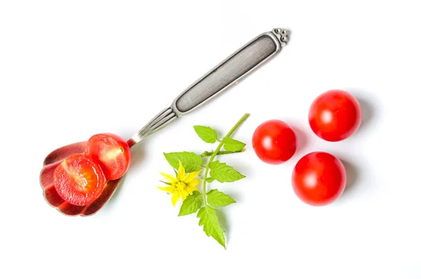 Φέτες ντομάτας σε ένα κουτάλι με φυσικό κλαδί — Φωτογραφία Αρχείου