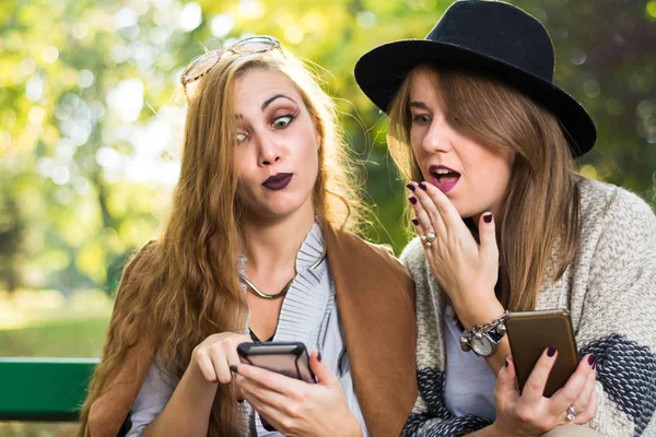 Kvinnliga vänner skvallra med telefon i parken — Stockfoto