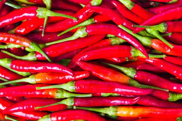 Dünne rote Paprika auf einem Haufen Hintergrund — Stockfoto