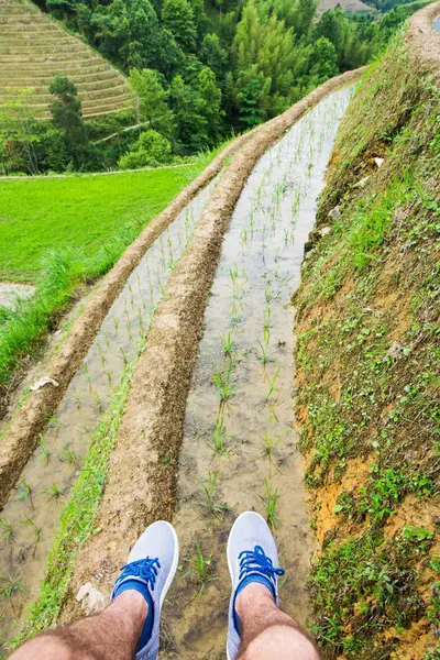 Miközben élvezzük a rizs terasz területén — Stock Fotó