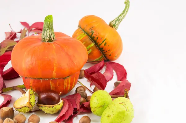 Őszi gyümölcsök és zöldségek egy halom — Stock Fotó