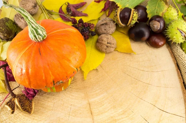 Calabaza con avellanas, castañas y nueces — Foto de Stock