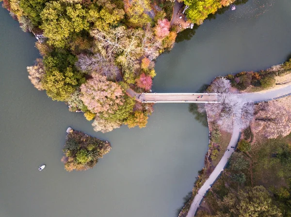 Widok na Central park jezioro jesienią — Zdjęcie stockowe