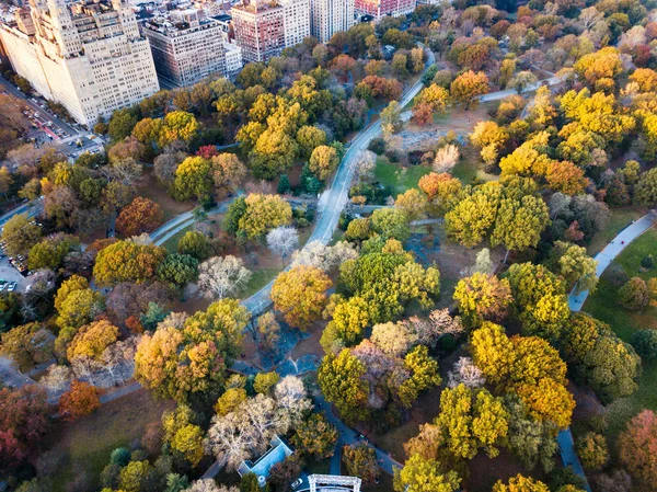 Панорама Нью-Йорка из Центрального парка, вид с воздуха — стоковое фото