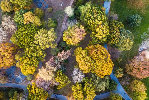 Widok na park jesienią — Zdjęcie stockowe