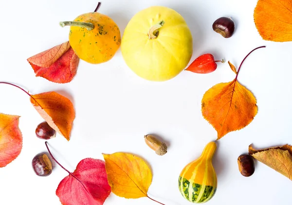Herbst und Erntedank abstrakter Hintergrund mit Kopierraum — Stockfoto