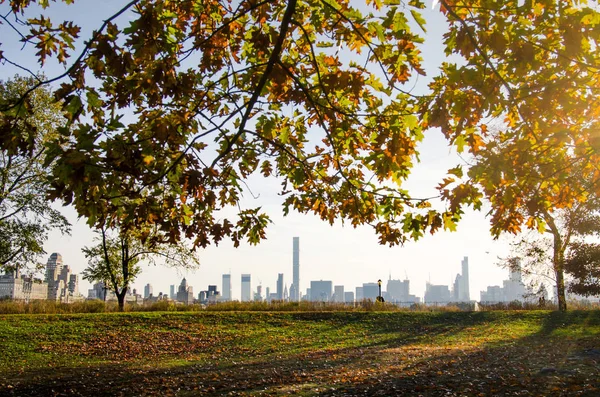 Нью-Йоркский городской пейзаж с осенним цветным деревом — стоковое фото