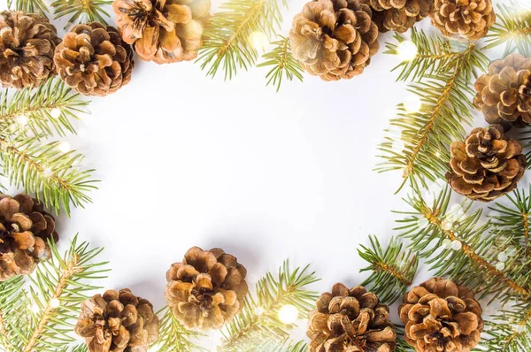 Conos de pino fondo festivo con rama de abeto — Foto de Stock