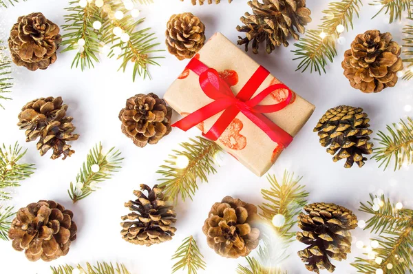 크리스마스 선물 소나무와 콘 축제 배경 — 스톡 사진
