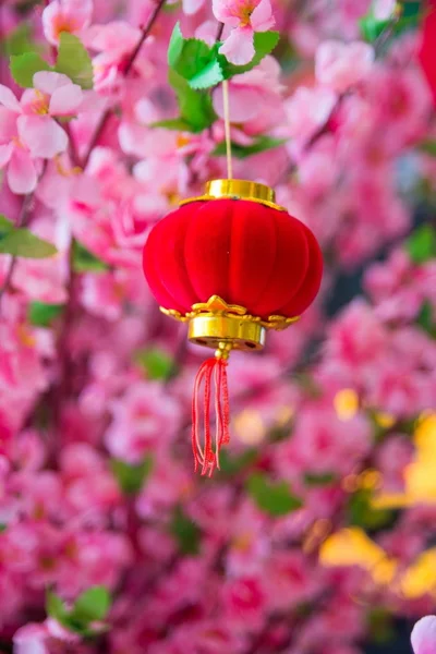 Festival de primavera chino Año Nuevo decoración — Foto de Stock