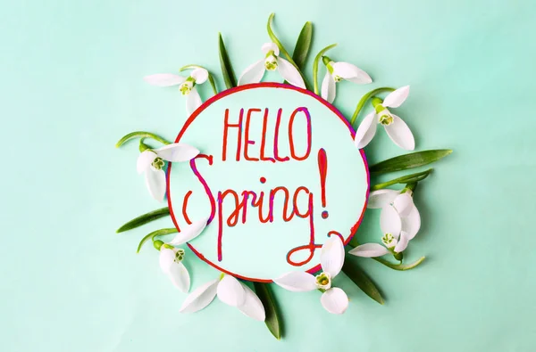 Hello spring handwritten note surrounded by snowdrops — Stock Photo, Image