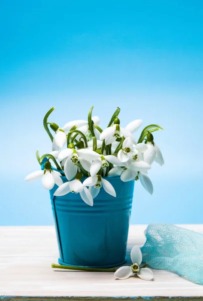 Flores de la gota de nieve en un jarrón —  Fotos de Stock