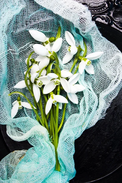 青い繊維にスノー ドロップの花 — ストック写真