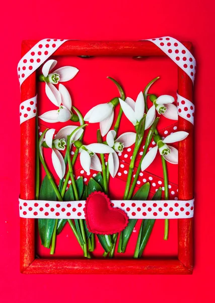 Flores de la gota de nieve en un marco de fotos rojo — Foto de Stock