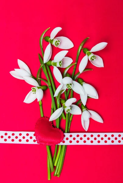 Flores de gota de nieve y una forma de corazón sobre fondo rojo — Foto de Stock