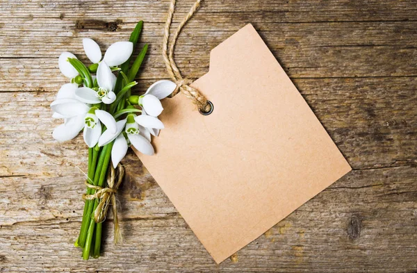 Flores de neve e um cartão de nota vazio — Fotografia de Stock