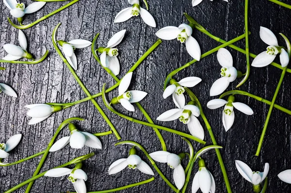 木製のテーブルにスノー ドロップの花背景パターン — ストック写真