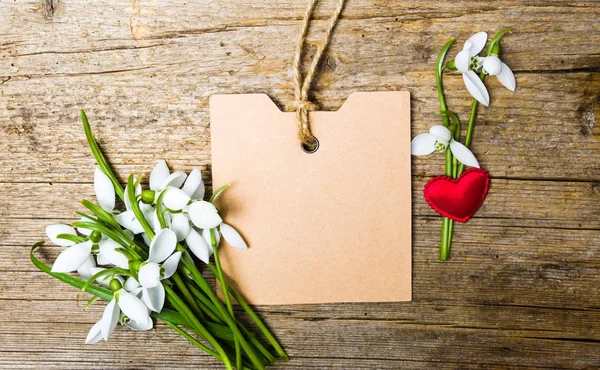 Flores de neve e um cartão de nota vazio — Fotografia de Stock