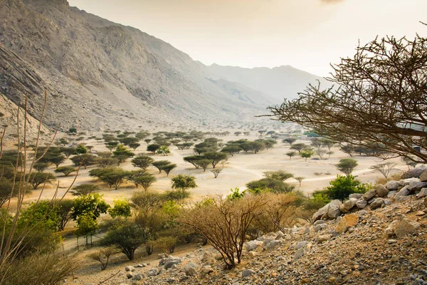Jabal Jais hory a pouště poblíž Ras al Khaimah — Stock fotografie