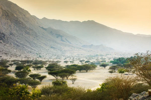 Montagne et désert de Jabal Jais près de Ras al Khaimah — Photo