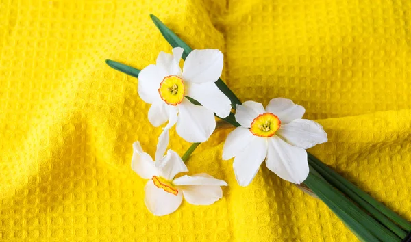 Nárcisz virág csokor sárga háttér — Stock Fotó