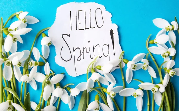 Hello spring note with fresh snowdrops — Stock Photo, Image