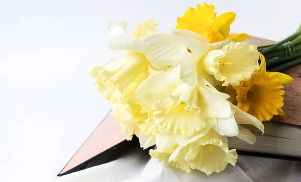 Sárga nárcisz virág nyílt, vintage könyv — Stock Fotó