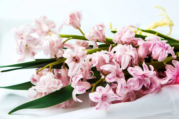 Buquê de flores de jacinto em têxteis brancos — Fotografia de Stock