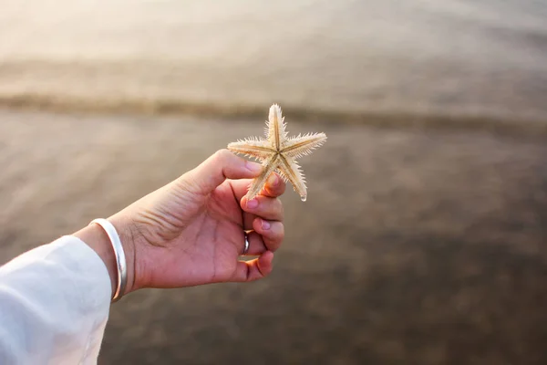 Femme tenant une étoile de mer sur la plage — Photo