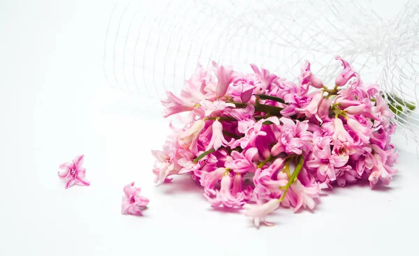 Buquê de flores de primavera jacinto fresco — Fotografia de Stock