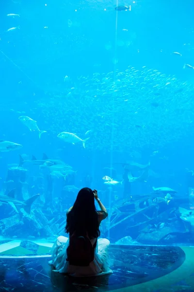 Woman taking picture in large aquarium — Stock Photo, Image