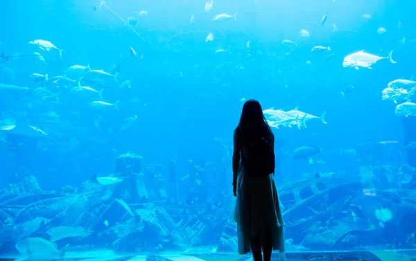 Mujer observando acuario grande en Dubai — Foto de Stock