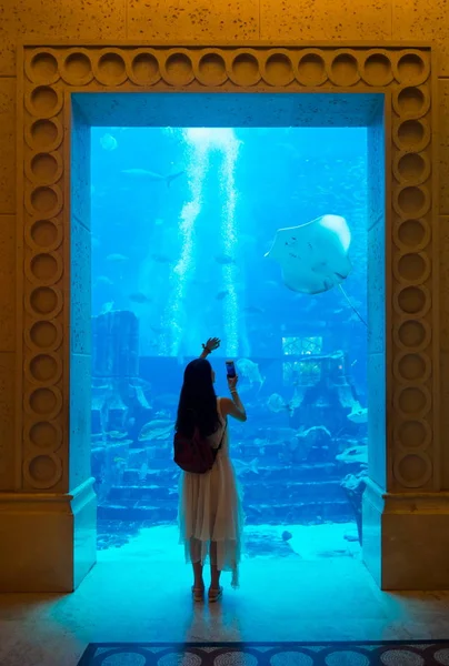 Mujer tomando fotos en acuario grande — Foto de Stock