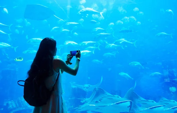 Woman taking picture in large aquarium — Stock Photo, Image