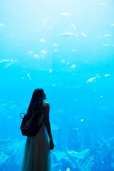 Mujer observando acuario grande en Dubai —  Fotos de Stock