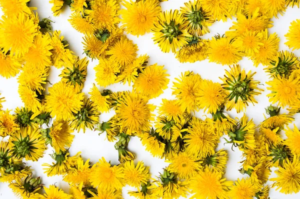 Dandelion flowers background pattern — Stock Photo, Image