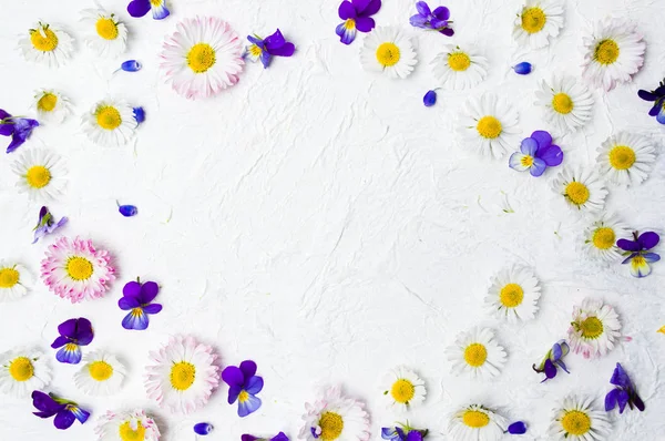 Primavera fiori su sfondo bianco posa piatta — Foto Stock