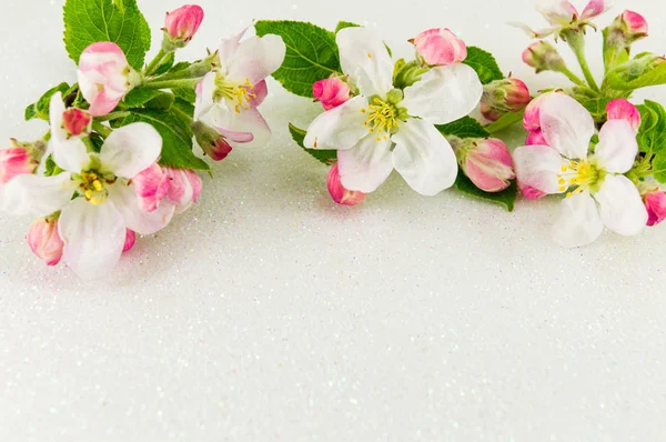 Fiore di fiori di mela con foglie — Foto Stock