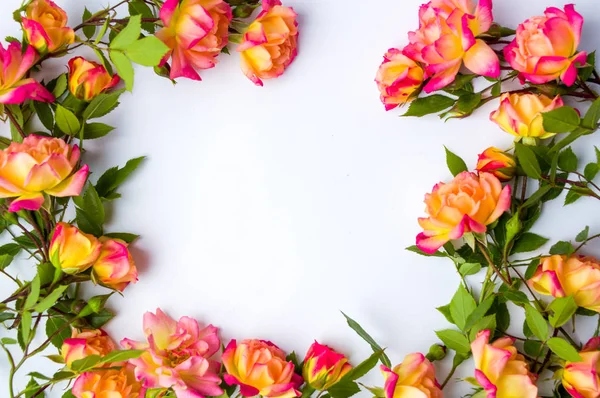 Narancssárga rózsák dekoráció a helyére a szöveg — Stock Fotó