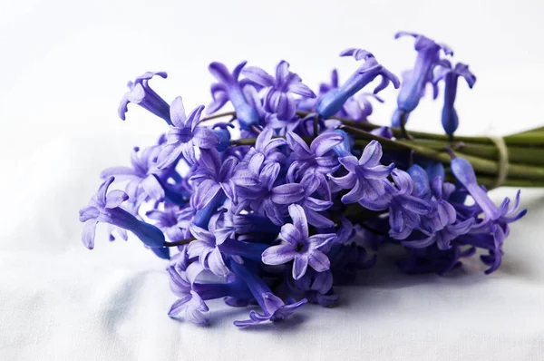 Lila Jácint virág csokor, textil — Stock Fotó