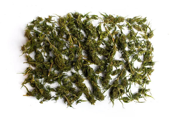 Cannabis canapa marijuana in fiore su una pila — Foto Stock
